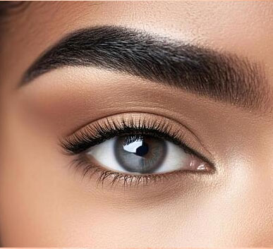 Eyebrows + Eyelashes