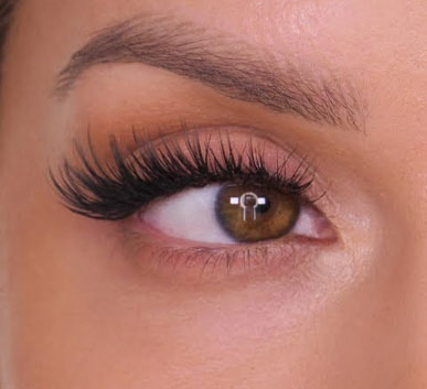 Wispy / Kim K Lashes